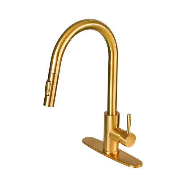 Modern Outdoor Stainless Steel Gooseneck Pull-Down Faucet