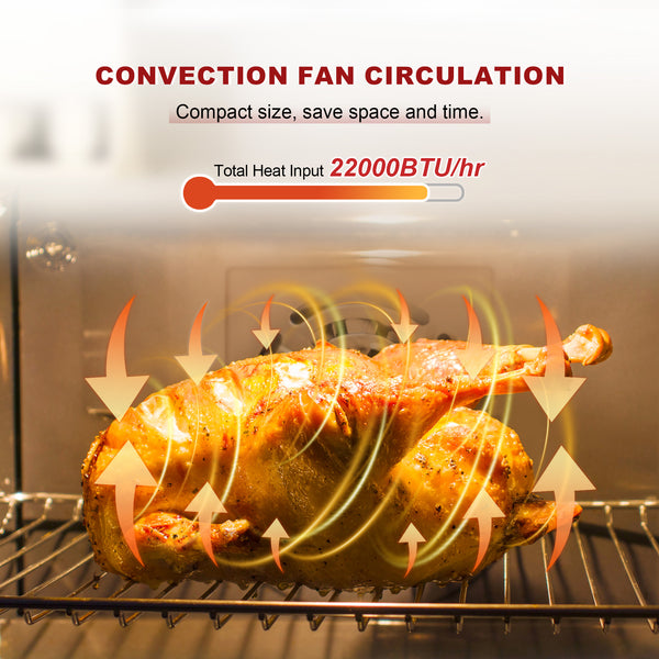 Roasted chicken in an oven with convection fan circulation graphics and text about heat input.