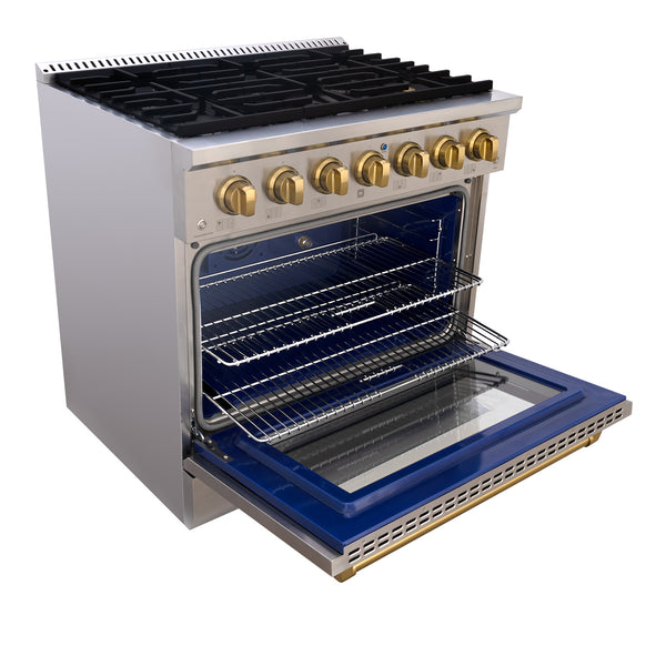 gas range with oven and gold switches
