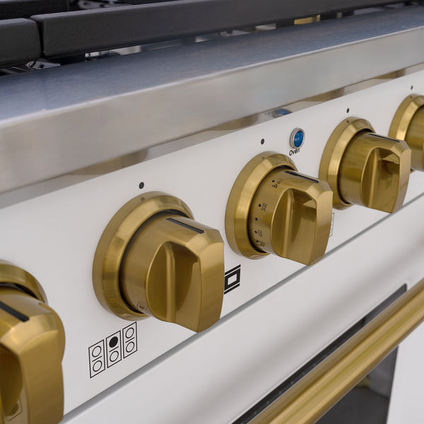 Professional Style Gas Range