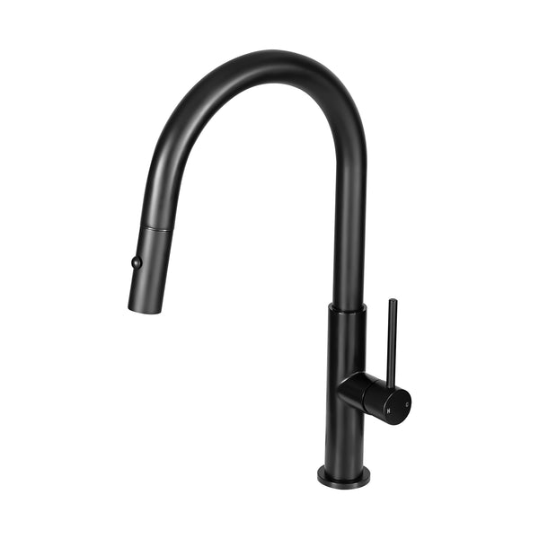 Black kitchen faucet on a white background