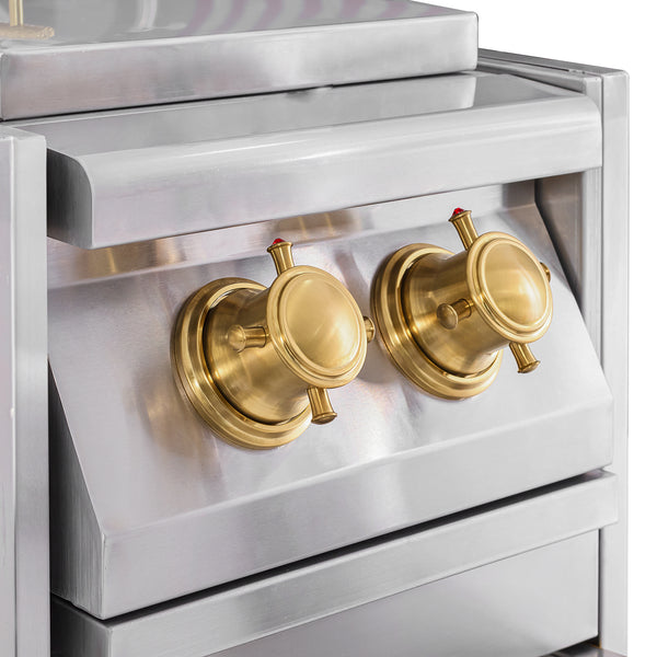 stainless steel dual side burner