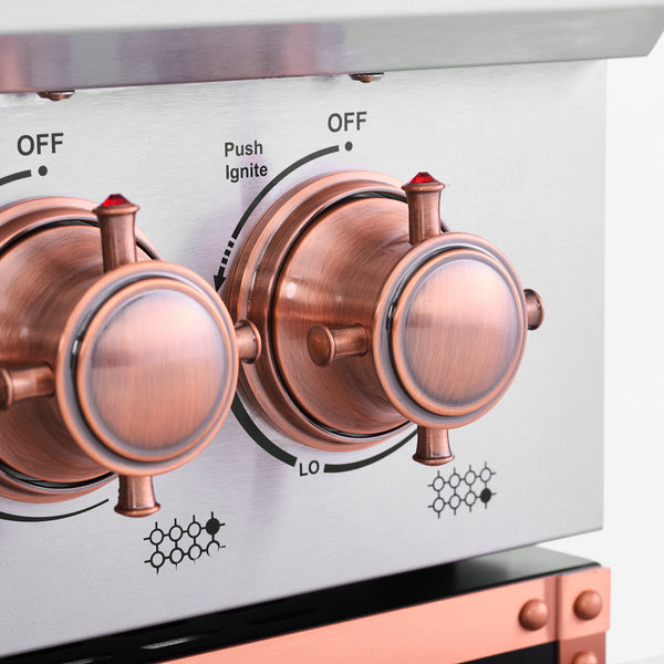 Stainless steel and gold stove with a white background