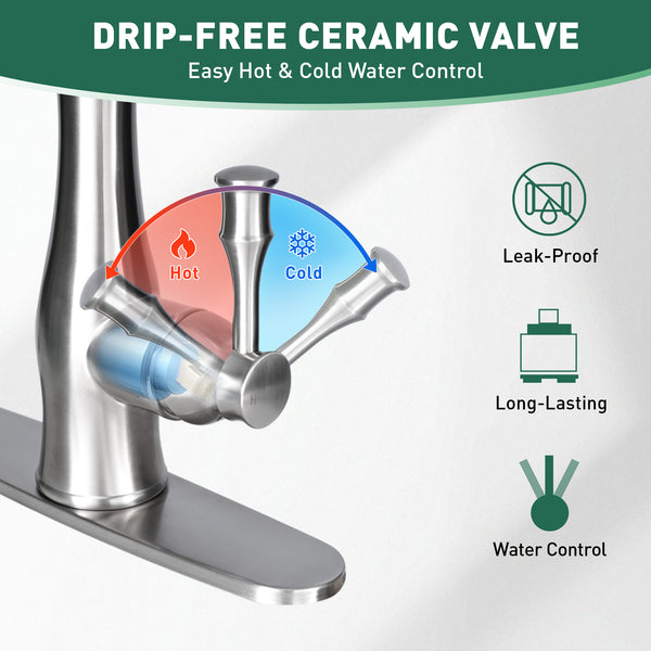 Kitchen Stainless Sink Faucet with Pull Down Sprayer, Single Handle, Single Hole Mount, Extendable Sprayer Head, Modern Design