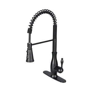 Black kitchen faucet with a flexible hose on a white background