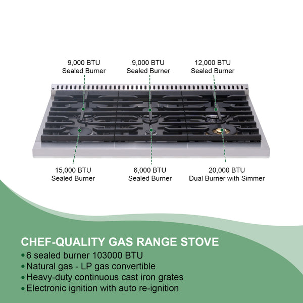 Professional Style Gas Range 