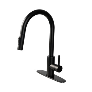 Black kitchen faucet on a white background